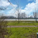 In South Holland Near Rotterdam